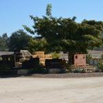 Cambria_2015_0152 (November 07, 2015)